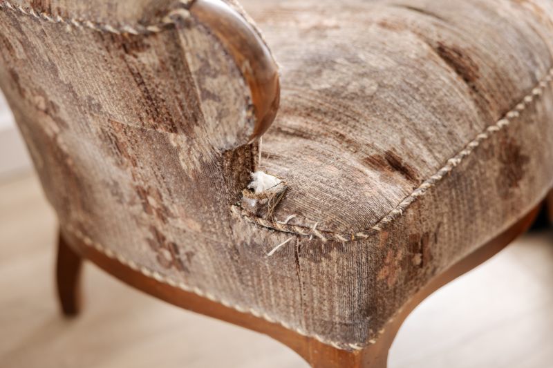 Upholstery Restoration